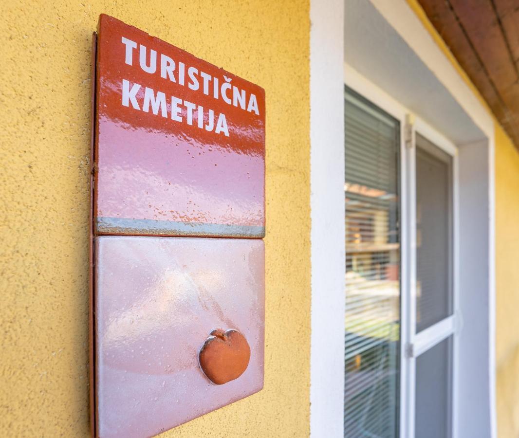 Fortun Estate - Apartmaji Ob Reki Kolpi Metlika Zewnętrze zdjęcie